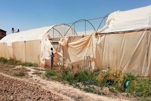 خسارت های طوفان به کشاورزی فسا برآورد شد