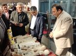 استقبال از غرفه شرکت سهامی کشاورزی و دامپروری سفیدرود در نهمین نمایشگاه بین‌المللی آیفارم / بازدید معاونین وزارت جهاد کشاورزی از دستاوردهای نوغانداری و تولید بذر شرکت