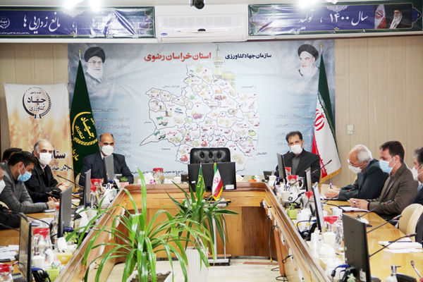 کشت  بیش از 123 هزارهکتار از سهمیه گندم آبی استان خراسان رضوی