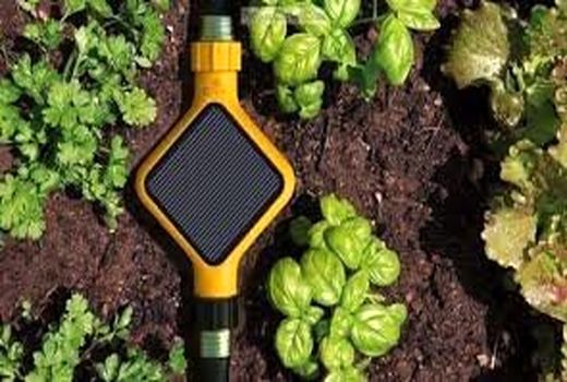 اقبالی: آغاز هوشمندسازی کشاورزی در 60 هکتار از مزارع فارس