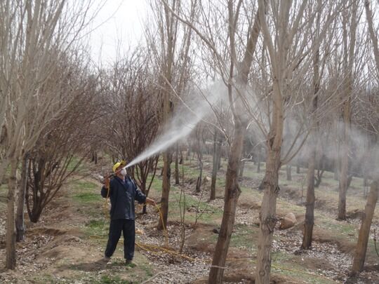 مزایای مبارزه شیمیایی زمستانه در سربیشه
