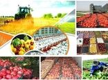تشکیل اولین اتاق اصناف کشاورزی سطح استان در شهرستان نمین