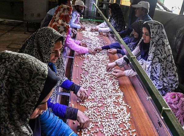 توجه به‌روستایعنی کاهش بیکاری وافزایش سرمایه‌اجتماعی