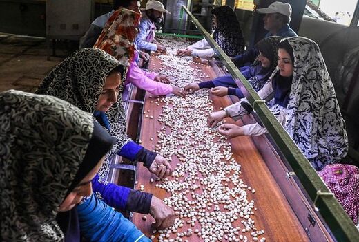 توجه به‌روستایعنی کاهش بیکاری وافزایش سرمایه‌اجتماعی