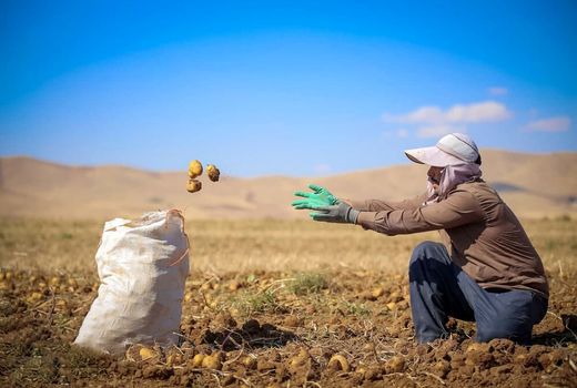 اشتغال‌زایی ۱۰ هزار نفری در حوزه کشاورزی چهارمحال و بختیاری