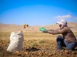 اشتغال‌زایی ۱۰ هزار نفری در حوزه کشاورزی چهارمحال و بختیاری