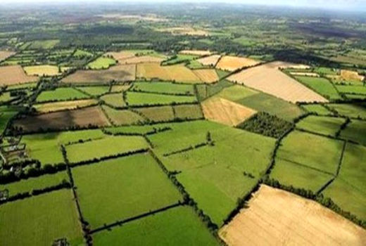 طرح یکپارچه‌سازی اطلاعات کشاورزی در استان مرکزی اجرا می‌شود