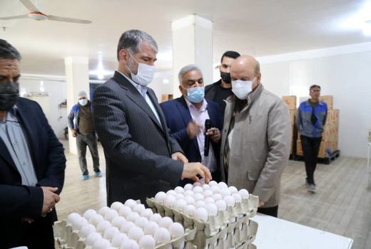 توسعه کشت گیاهان دارویی، گلخانه ها و دامپروری اولویت‌های وزارت جهاد کشاورزی در استان یزد