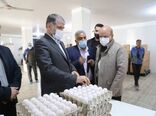 توسعه کشت گیاهان دارویی، گلخانه ها و دامپروری اولویت‌های وزارت جهاد کشاورزی در استان یزد