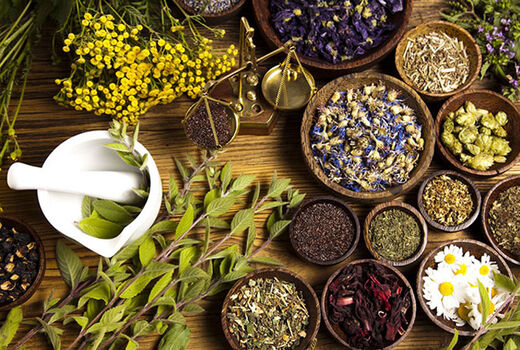زنجیره ارزش گیاهان دارویی ساماندهی و توسعه می‌یابد/ تاکید بر تشکیل کمیته فنی بذر