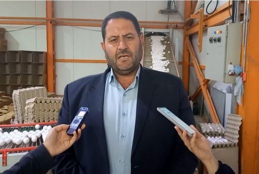 شهرستان مرند قطب تولید تخم مرغ در استان آذربایجان شرقی 