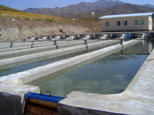 اولین جلسه شورای هماهنگی رابطین شیلات استان و شهرستان های تابعه برگزار گردید