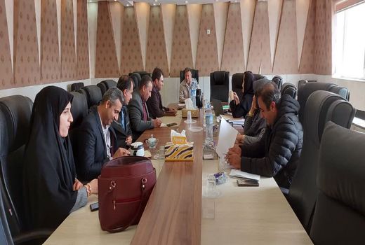 دو هزار و 500 هکتار اراضی غیر ملی شهرستان دشتی تثبیت شد