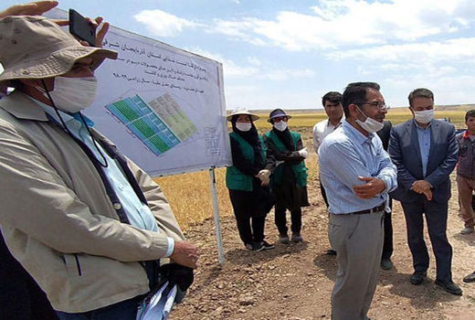 طرح امنیت غذایی موجب افزایش ۲۵ درصدی عملکرد کشت دیم می‌شود