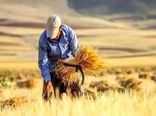  ۷۰ درصد مطالبات گندمکاران کشور پرداخت شد/ تحقق ۱۰۸ هزار میلیارد تومان در حمایت از تولید ملی
