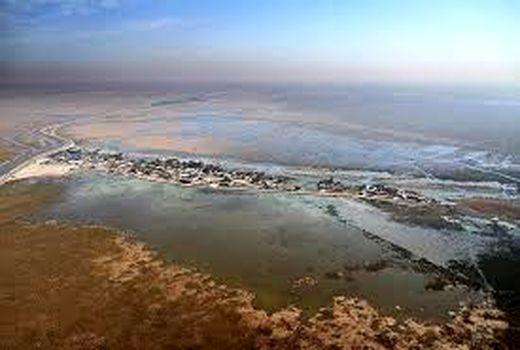 همفکری برای معیشت پایدار در تالاب شادگان