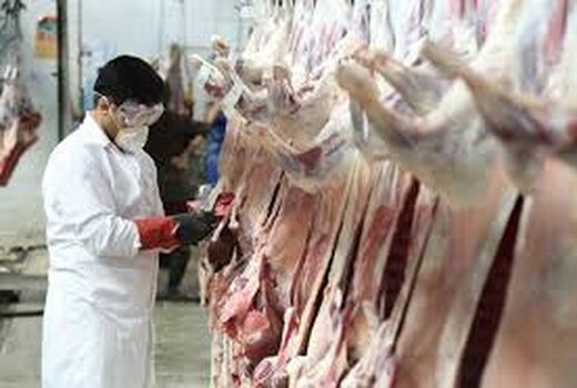 نظارت بر استحصال ۱۵هزار تُن گوشت قرمز و سفید در خراسان شمالی