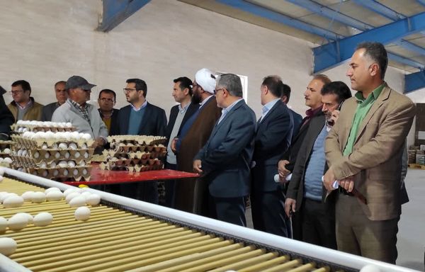 یک واحد پرورش مرغ تخمگذار در اقلید افتتاح شد