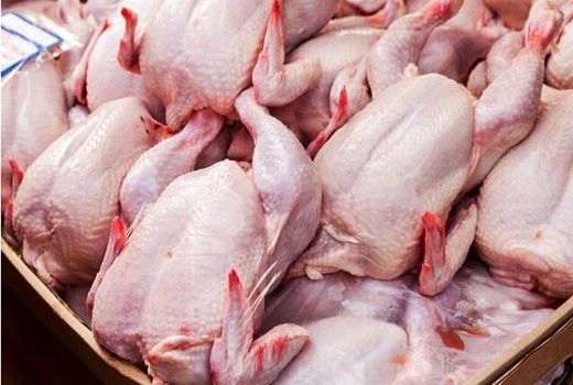 انعقاد قرارداد برای خرید 250 تن گوشت مرغ منجمد با تشکل‌های خراسان شمالی