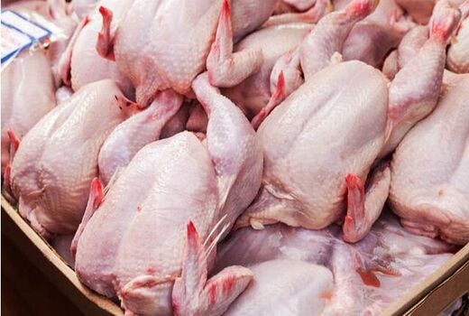 انعقاد قرارداد برای خرید 250 تن گوشت مرغ منجمد با تشکل‌های خراسان شمالی