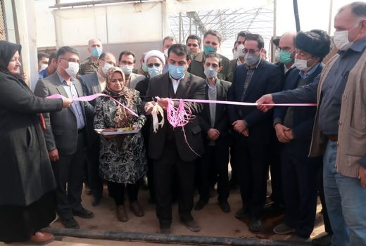 بهره‌برداری از ۲.۵ هکتار گلخانه کشت گیاهان دارویی در بویین‌زهرا