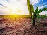 جنوب اروپا برای تابستان خشک ناشی از تغییرات اقلیمی آماده می‌شود