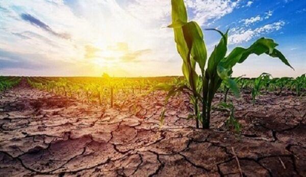 تاکید نخست وزیر مراکش بر تاثیر "طرح سبز" بر وضعیت خشکسالی