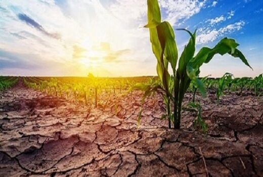 تاکید نخست وزیر مراکش بر تاثیر 