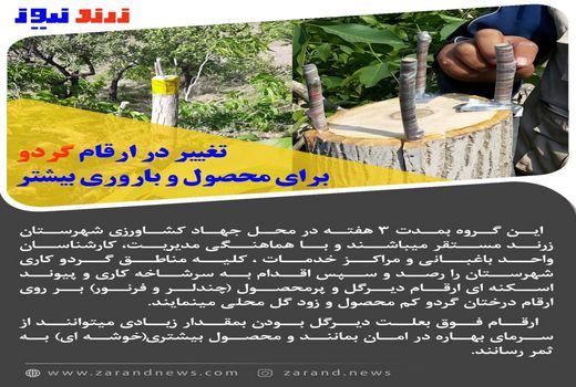 ورود سرشاخه کاران خبره و متخصص تغییر ارقام گردو  از تویسرکان همدان به زرند
