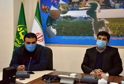 ایجاد زنجیره تولید تخم مرغ در شهرستان مراغه در زمینی به وسعت 40 هکتار