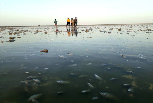 هامون در مسیر تبدیل شدن به کانون گردوغبار