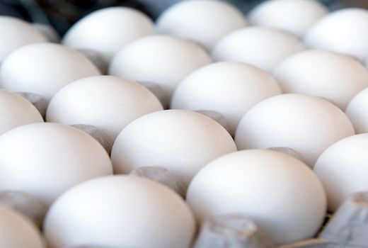 تشدید نظارت بر بازار تخم مرغ در چهارمحال و بختیاری