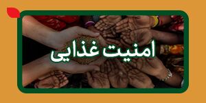   امنیت غذایی