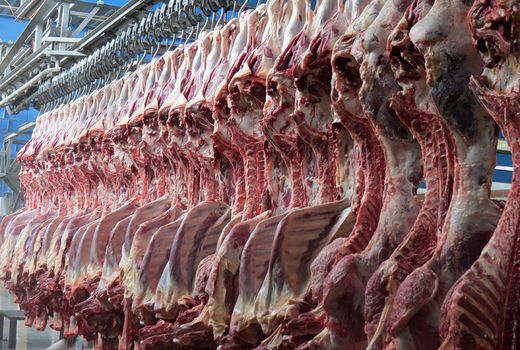 سرمایه‌گذاری 1 هزار میلیارد تومانی در صنعت گوشت سیستان و بلوچستان 