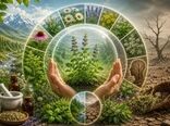 برداشت‌های غیر اصولی و تغییر اقلیم، پایداری گیاهان دارویی ایران را تهدید می‌کند