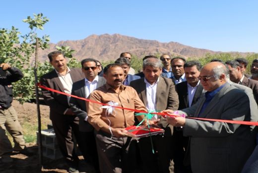 در هفته دولت 92 طرح آب و خاک، دامپروری، تولیدات گیاهی و صنایع تبدیلی و تکمیلی در استان کرمان به بهره برداری رسید.