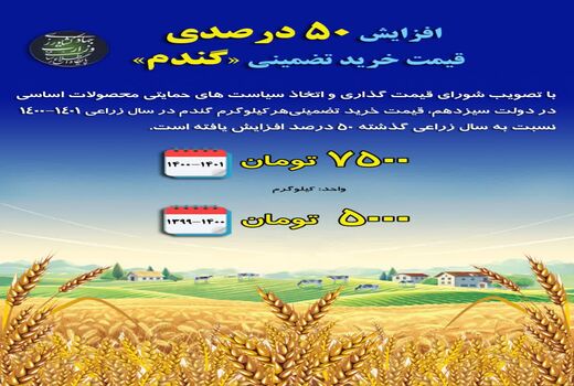 افزایش 50 درصدی قیمت خرید تضمینی گندم در سال زراعی جدید