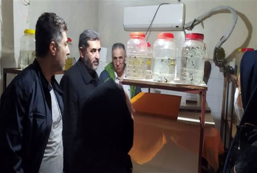 بازدید مسئولان شیلات از مزارع نمونه کشور در استان آذربایجان شرقی