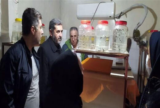 بازدید مسئولان شیلات از مزارع نمونه کشور در استان آذربایجان شرقی