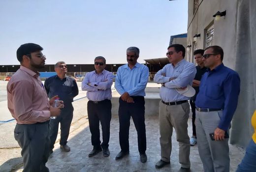 فسا می‌تواند به هاب کشور در عرضه دام سبک تبدیل شود