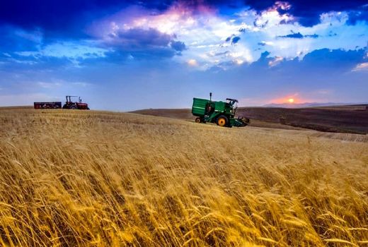 اجرای طرح کشاورزی قراردادی در چهارمحال و بختیاری