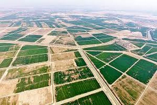 تصمیم گیری در خصوص  واگذاری اراضی بخش کشاورزی خوزستان