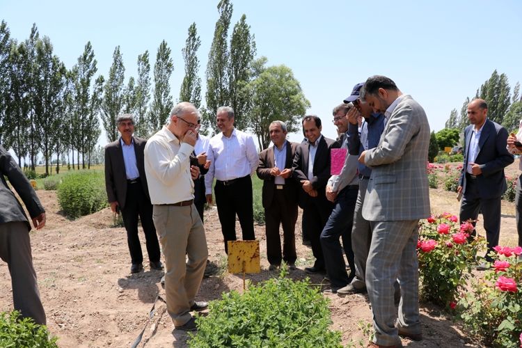سفر دکتر خاوازی معاون وزیر جهاد کشاورزی و رئیس سازمان تحقیقات، آموزش و ترویج کشاورزی به استان اردبیل