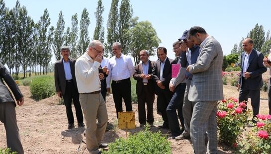 سفر دکتر خاوازی معاون وزیر جهاد کشاورزی و رئیس سازمان تحقیقات، آموزش و ترویج کشاورزی به استان اردبیل