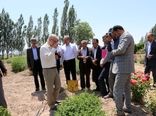 سفر دکتر خاوازی معاون وزیر جهاد کشاورزی و رئیس سازمان تحقیقات، آموزش و ترویج کشاورزی به استان اردبیل