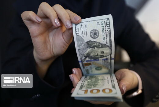 حذف ارز ترجیحی برای تولید بلاست یا برکت؟