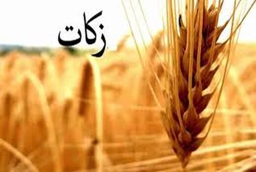  جلسه برنامه ریزی جهت جمع آوری زکات با حضور رئیس کمیته امداد امام خمینی(ره) شهرستان بم برگزار شد.