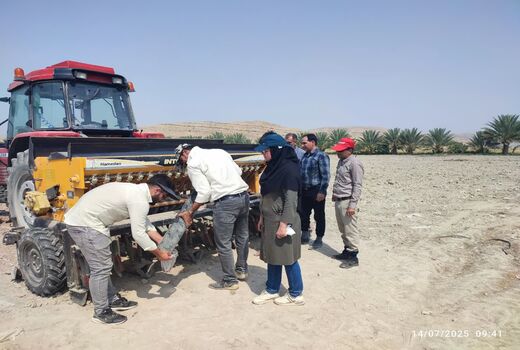 اجرای طرح انتخاب مشارکتی ارقام  کنجد در شهرستان کازرون