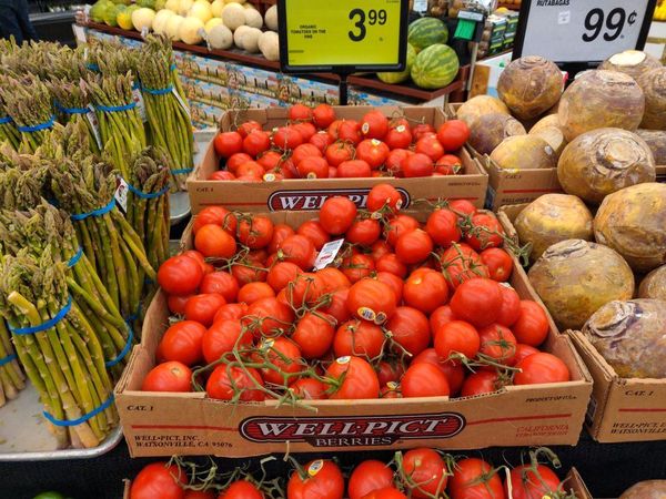 کاهش ردپای نفت در تولید محصولات کشاورزی