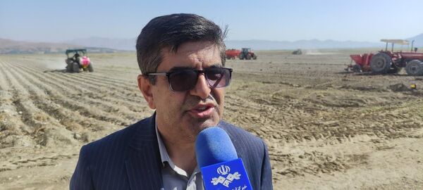 پیش بینی تولید بیش از ۲۰۰ هزار تن سیب زمینی در چهارمحال و بختیاری 